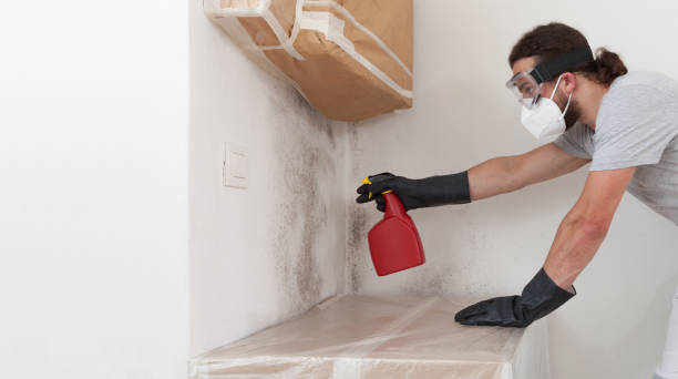 Professional Crawl Space Mold Remediation technician working in Bayport, MN